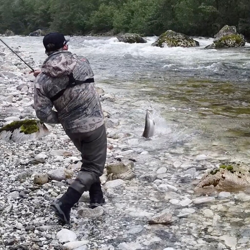 Nærøy fishing